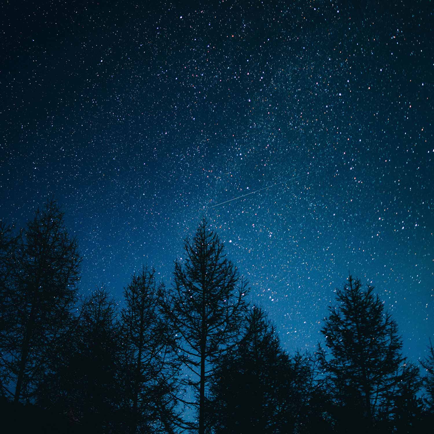 Texture & feel image